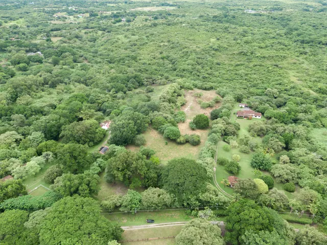 Las Lagartijas Land 3