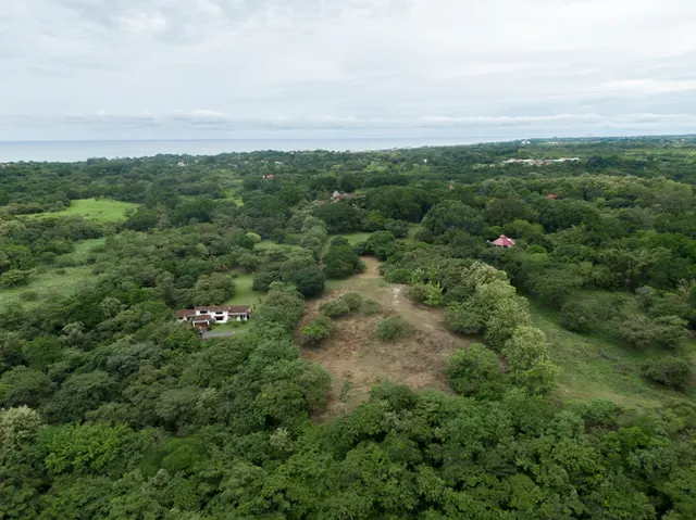 Las Lagartijas Land