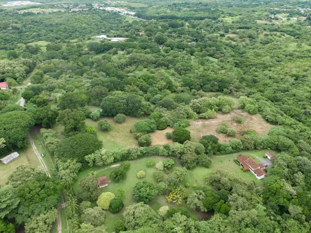 Las Lagartijas Land 4