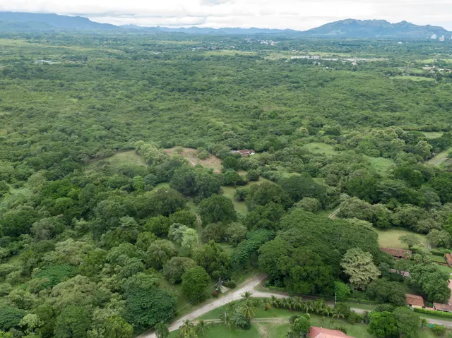 Las Lagartijas Land 6
