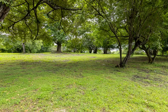 Las Lagartijas Land 8
