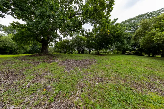 Las Lagartijas Land 9