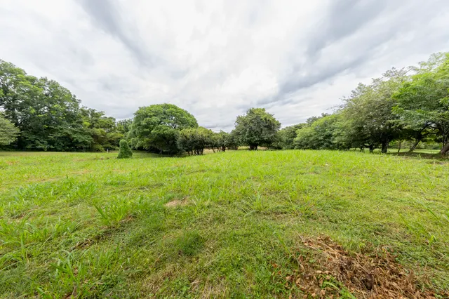 Las Lagartijas Land 11